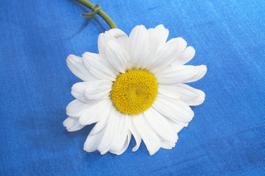 Similar image 672188