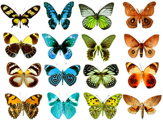 Similar image 672193