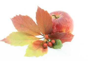 Similar image 672209