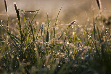 Similar image 672212