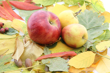 Similar image 672213