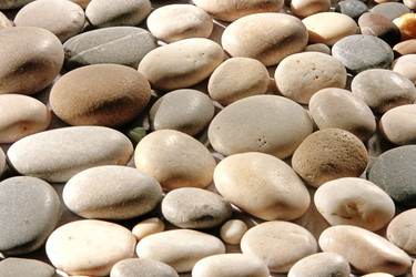 Similar image 672219