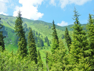 Similar image 672223