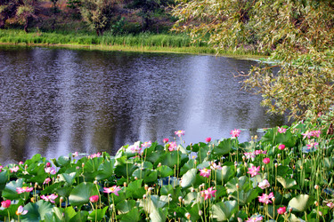 Similar image 672229