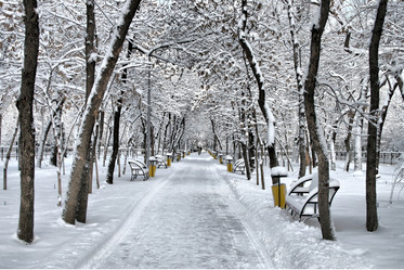 Similar image 672230