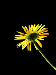 Similar image 672237