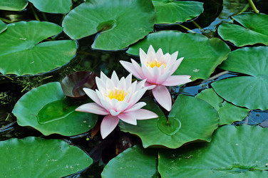 Similar image 672292