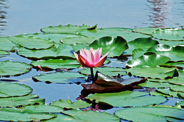 Similar image 672293