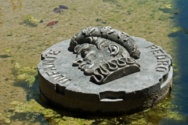 Similar image 672297