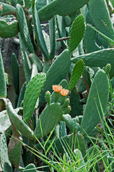 Similar image 672299