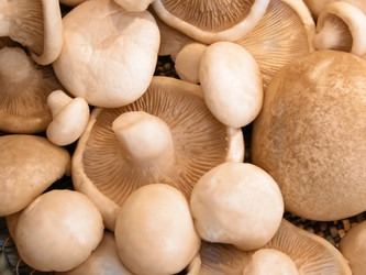 Similar image 672400