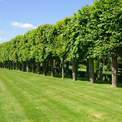 Similar image 672442