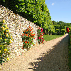 Similar image 672445