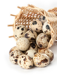 Similar image 672455