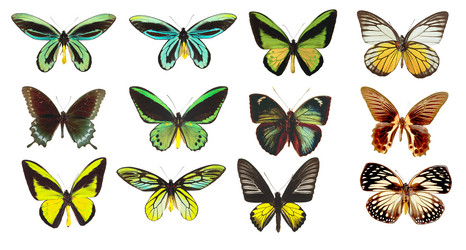 Similar image 672457