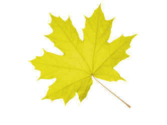 Similar image 672460