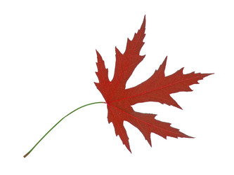 Similar image 672463