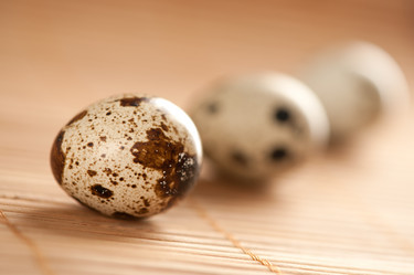 Similar image 672465