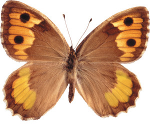 Similar image 672467