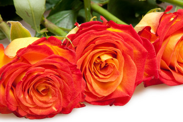 Similar image 672468