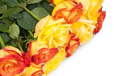 Similar image 672469