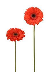 Similar image 672477