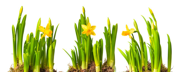 Similar image 672480