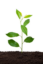 Similar image 672507