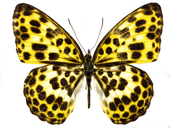 Similar image 672513