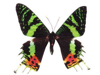 Similar image 672521