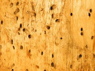 Similar image 672550