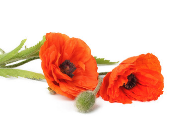 Similar image 672560