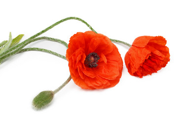 Similar image 672562