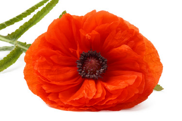 Similar image 672573