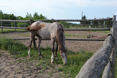 Similar image 672589