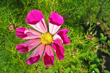 Similar image 672591