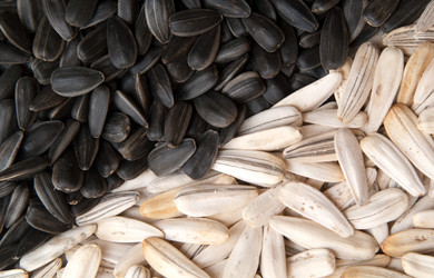 Similar image 672593