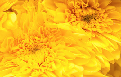 Similar image 672606