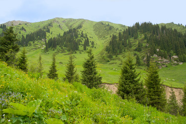 Similar image 672678