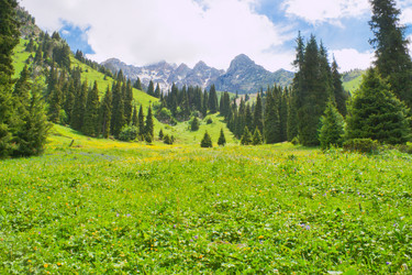 Similar image 672680