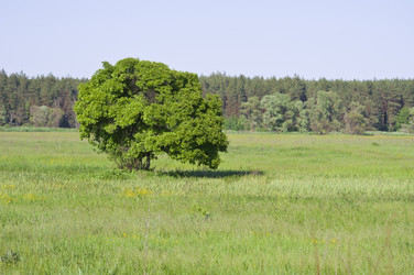 Similar image 672689