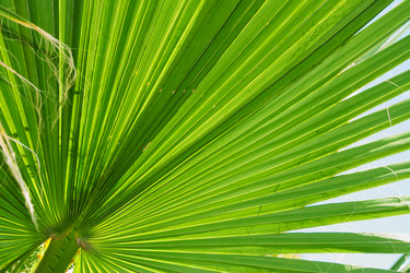 Similar image 672696