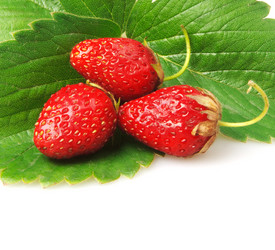 Similar image 672697