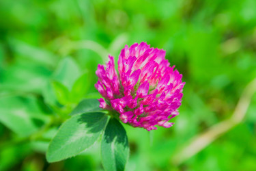 Similar image 672698