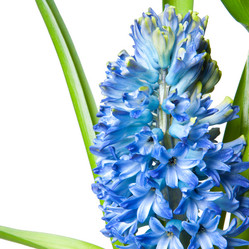 Similar image 672710