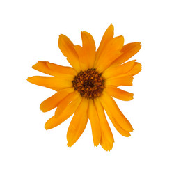 Similar image 672720