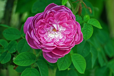 Similar image 672737