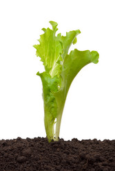 Similar image 672748