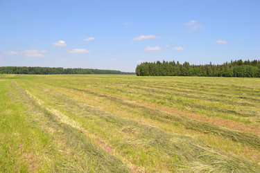 Similar image 672762