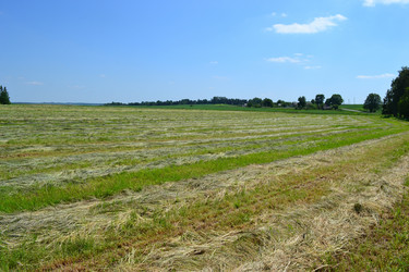 Similar image 672763